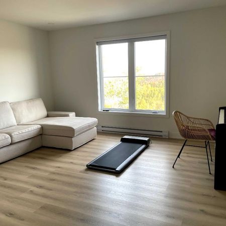 4 et demi quasi neuf à louer à Sainte-Agathe-des-Monts - Photo 3