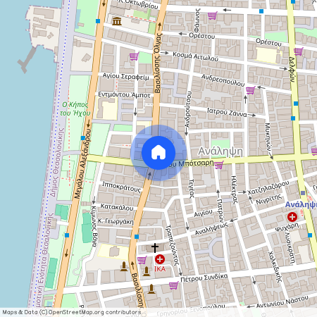 Λεωφόρος Βασιλίσσης Όλγας 109, Θεσσαλονίκη 54643