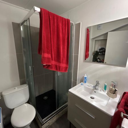 Location Appartement 2 pièces 42m² ST ETIENNE 42000 - Photo 4