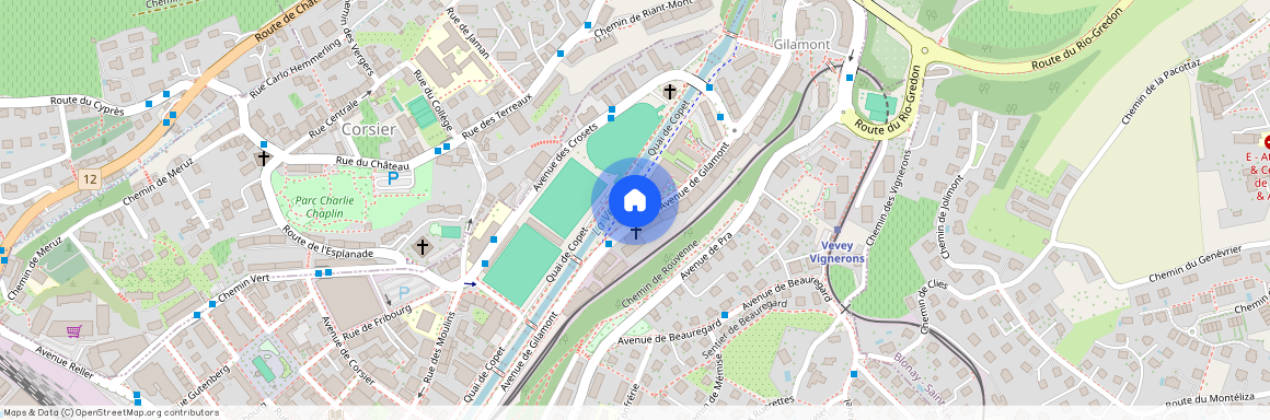 Avenue de Gilamont 13 - A, 1800 Vevey