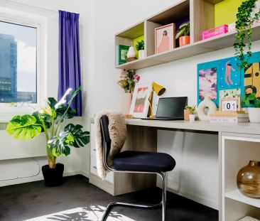 Extra Large Studio - Photo 2