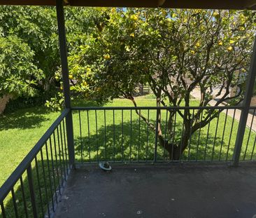 Bentleigh East - Photo 4