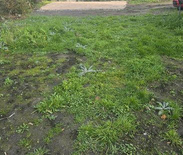 Wohnung zu vermieten castrop str - Photo 1