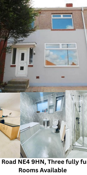 5 bedroom house share to rent - Photo 2