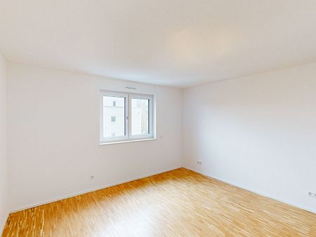 Erstbezug! 3-Zimmer-Wohnung mit traumhafter Dachterrasse - Foto 4