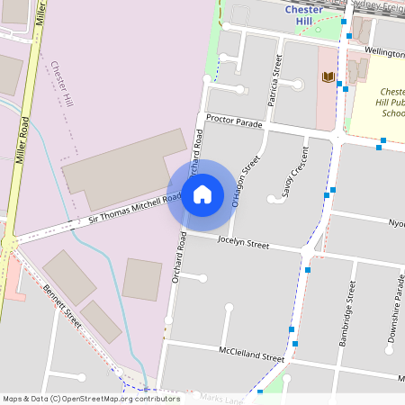 110 Orchard Rd, NSW 2162, Chester Hill