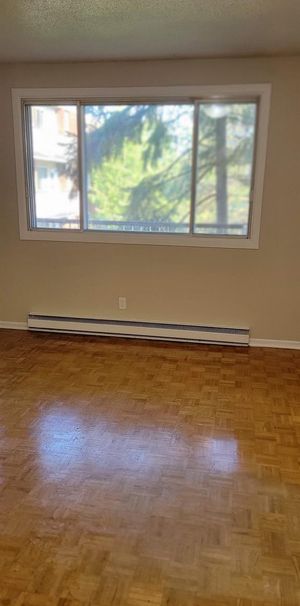 1 CH - 1 SDB - Gatineau - $1,345 /mo - Photo 1