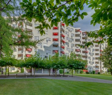 Familienwohnung gesucht? - Photo 6