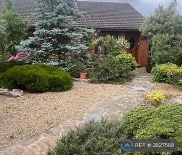 3 bedroom bungalow to rent - Photo 6