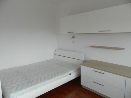 erfolgreich vermietet: komplett möbliertes Appartment in München Neuhausen/Nymphenburg - Photo 5