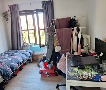 Doorniksesteenweg 320, kamer 6 - Photo 4