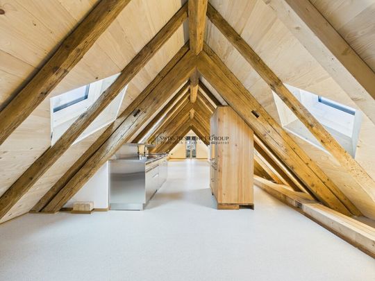 Exclusive penthouse with light and view - first occupation in Oetwil an der Limmat - Foto 1