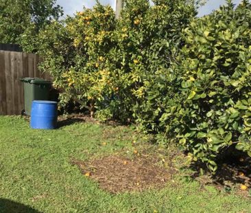 Carefree on Camp Road - Photo 6