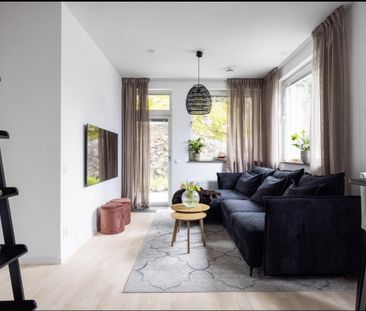 Gaffelseglet, Vega - Photo 6