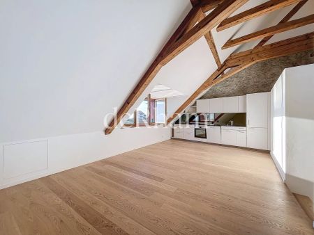 Opportunité unique à la location Loft neuf au coeur de Rivaz - Photo 4