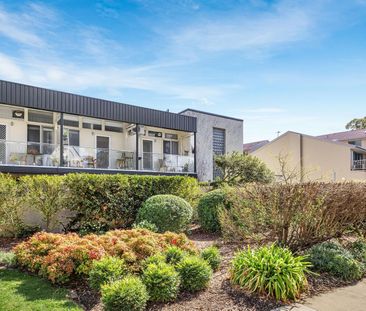 46/47 McMillan Crescent, Griffith ACT 2603 - Studio For Rent | Domain - Photo 2