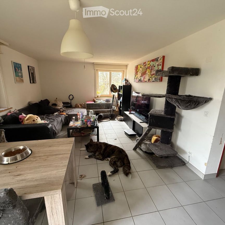 2 Zimmer, 50 m² - Foto 1