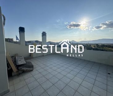 Μονοκατοικία για ενοικίαση Μαρκόπουλο - Photo 3