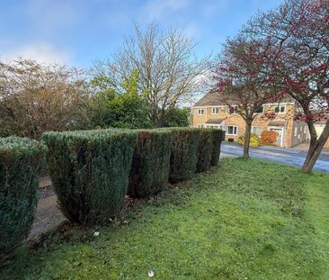 3 bedroom semi-detached house to rent - Photo 3