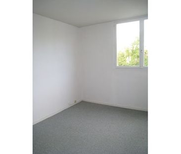 Location Appartement 2 pièces 46m² ST JEAN LE BLANC 45650 - Photo 2