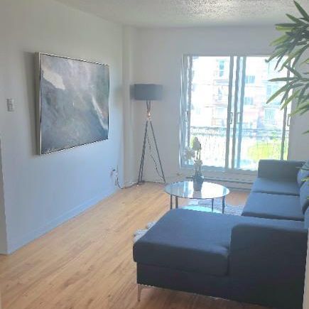 Superbe grand 4 1/2 ensoleillé dans un secteur recherché de Laval - Photo 3