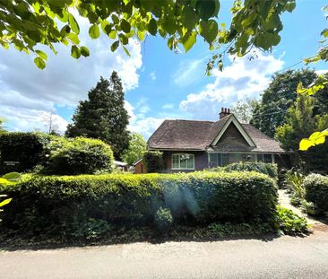3 bedroom detached house to rent - Photo 4