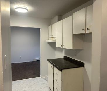 31 Rue Du Curé-André-Préseault (Gatineau) Très Beau Logement De 2 Cc - Photo 3