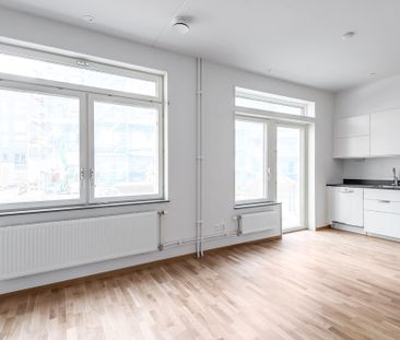 Storseglet, Vega - Foto 2