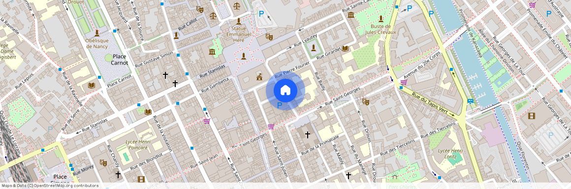 9-9 BIS RUE MAURICE BARRES, Charles Iii Nord Tiercelins St-Georges, Nancy