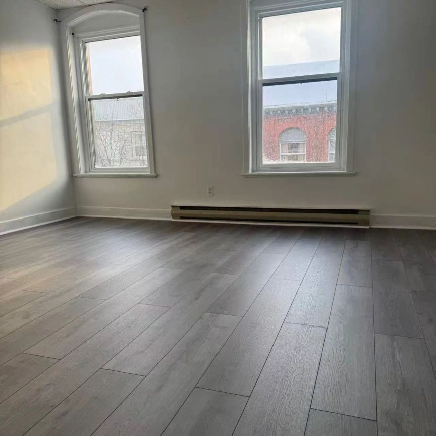 161a Princess Street - Photo 1