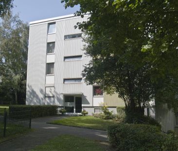 Schöne 3 Zimmerwohnung mit neuem Badezimmer - Photo 6