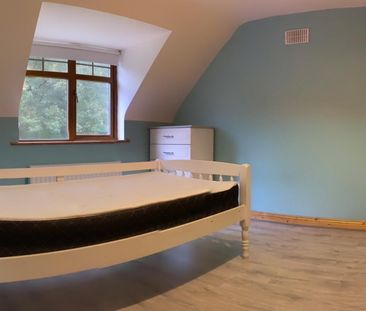 7 Castle Court, County Wicklow, W91 YX72, Kiltegan - Photo 4