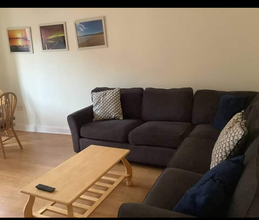 Clean Beautiful Furnished One bedroom Apartment Available - Photo 4