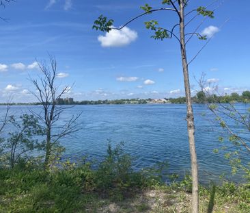 For Lease - 23 Jarvis Street Unit# 2, Fort Erie, Ontario - Photo 6