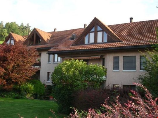 gemütliche 4.5 Zi.-Parterrewohnung am Hofberg - Photo 1