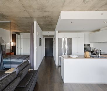 Apartment for rent, Montréal (Le Sud-Ouest) - Photo 2
