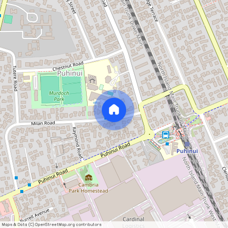 60 Milan Road, Papatoetoe, Manukau City