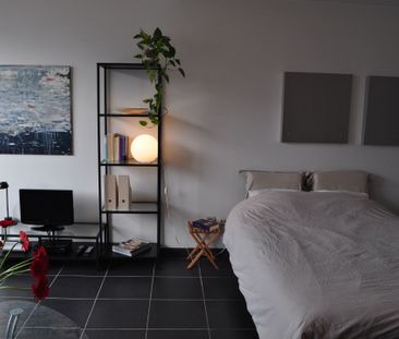gemeubeld studio appartement aan het theaterplein - Foto 4