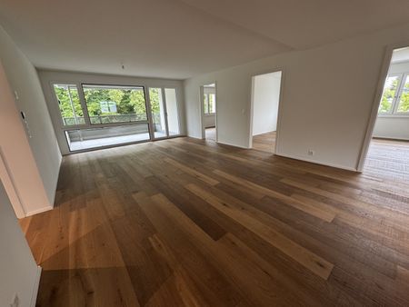 "Frisch renovierte und helle Wohnung" - Foto 5