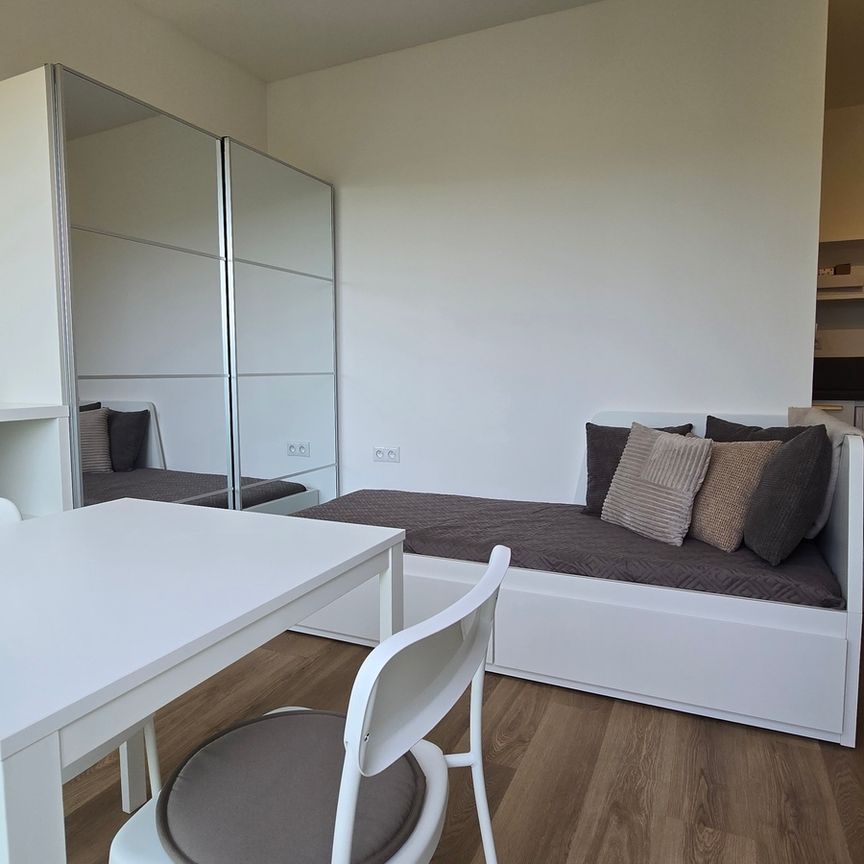 Pronájem bytu 1+kk v osobním vlastnictví 20 m², Brno - Photo 1