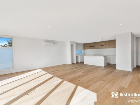 Don't Be Jelly!! - Photo 3