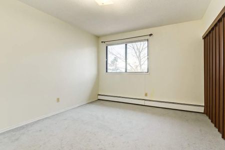 1 Bedroom - Photo 4