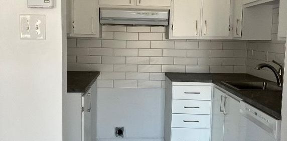41/2 à louer Mercier Hochelaga Maisonneuve secteur Louis Riel - Photo 2