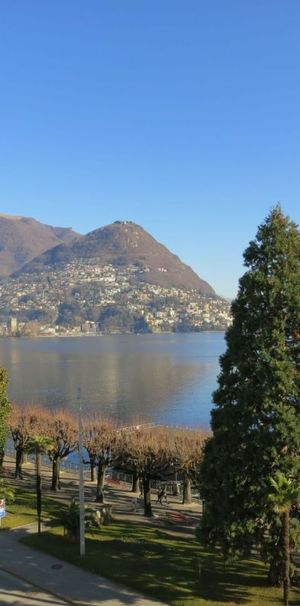 Lussuosi appartamento in prima fila sul lago di Lugano - Photo 1