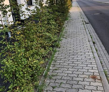 wunderschöne barrierefreie 3-Raum Erdgeschosswohnung mit Terrasse und Fußbodenheizung - Foto 2