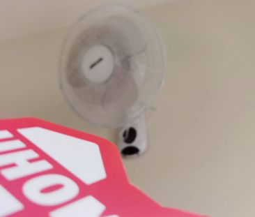 Single Rooms-Single Room Large - Photo 6