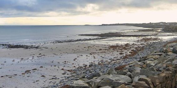 Shore Road, Ballyhalbert, BT22 1BJ - Photo 3