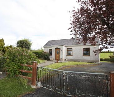 65 Creevyargon Road, Ballynahinch, BT24 8YF - Photo 3