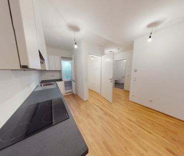 / DIREKT AM KIRSCHBLÜTENPARK / TOLLE NEUBAUWOHNUNG / MIT BALKON / 3... - Photo 2