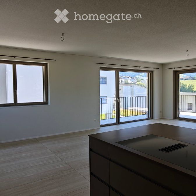 Erstvermietung einer grosszügigen 4.5-Zimmerwohnung an aussichtsreicher Lage, Schwarzenberg LU - Foto 1
